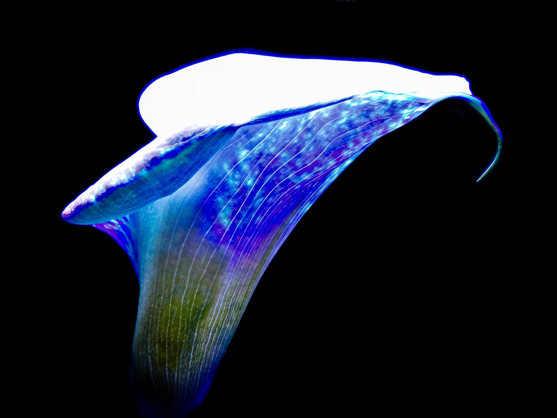 The Wing of Light The Voice of the Ethers