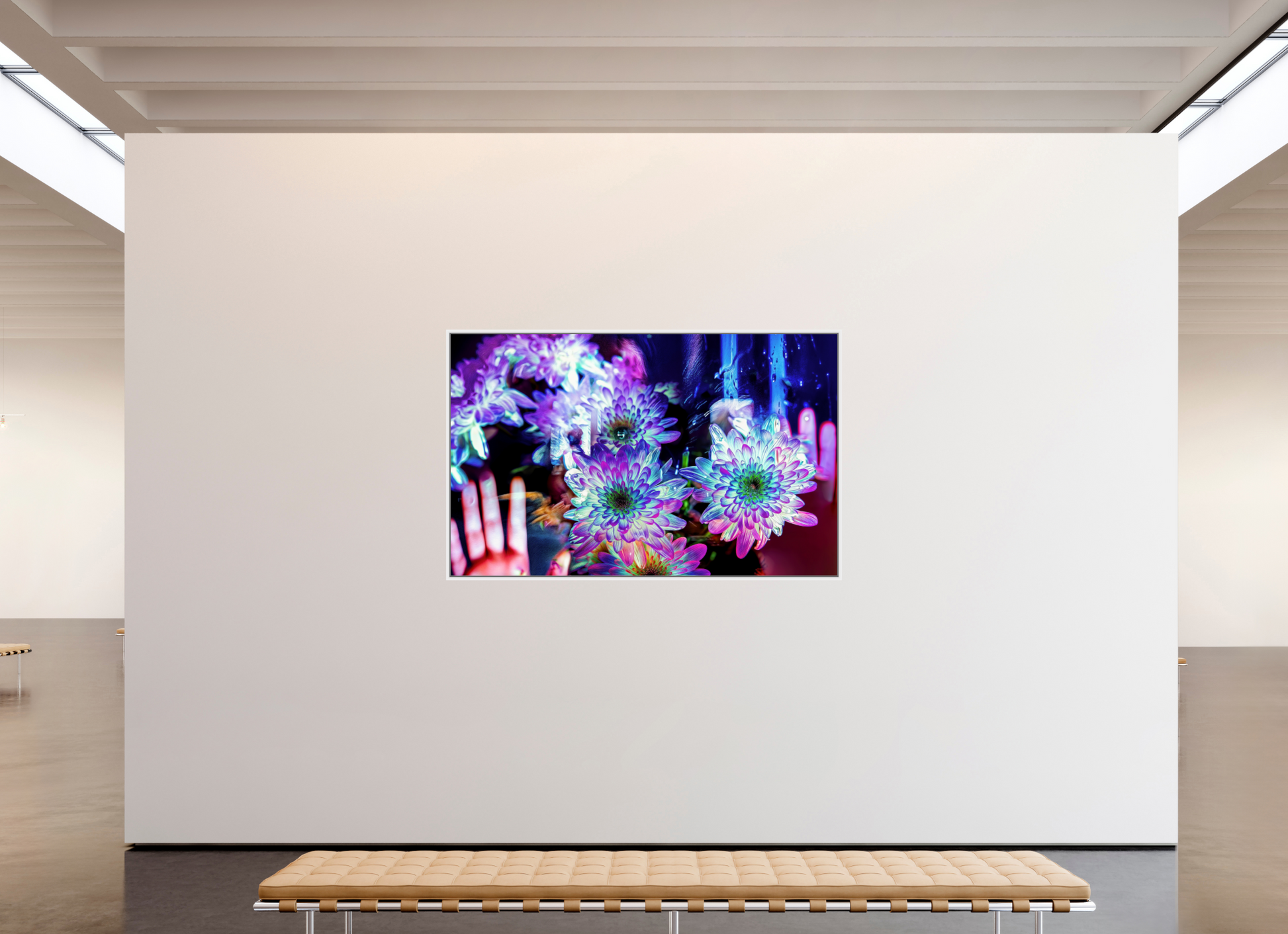 192 x 120 cm, 9 Caisse américaine Blanche Pétales contre ma peau, lumière contre la tienne