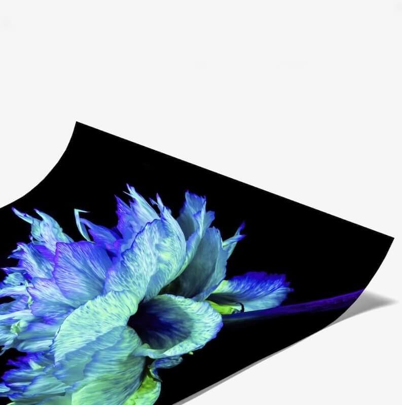 webdesign_Tirage_20seul_34082fad-f5c9-4a97-b086-452877f13437