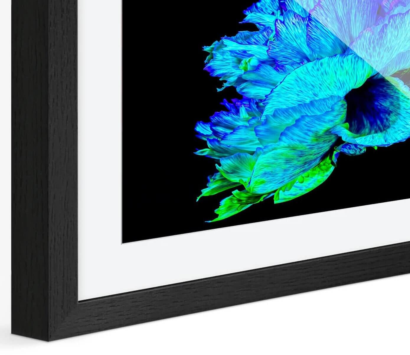 Web_cadre_passe_Capture_d_ecran_2025-10-20_a_12