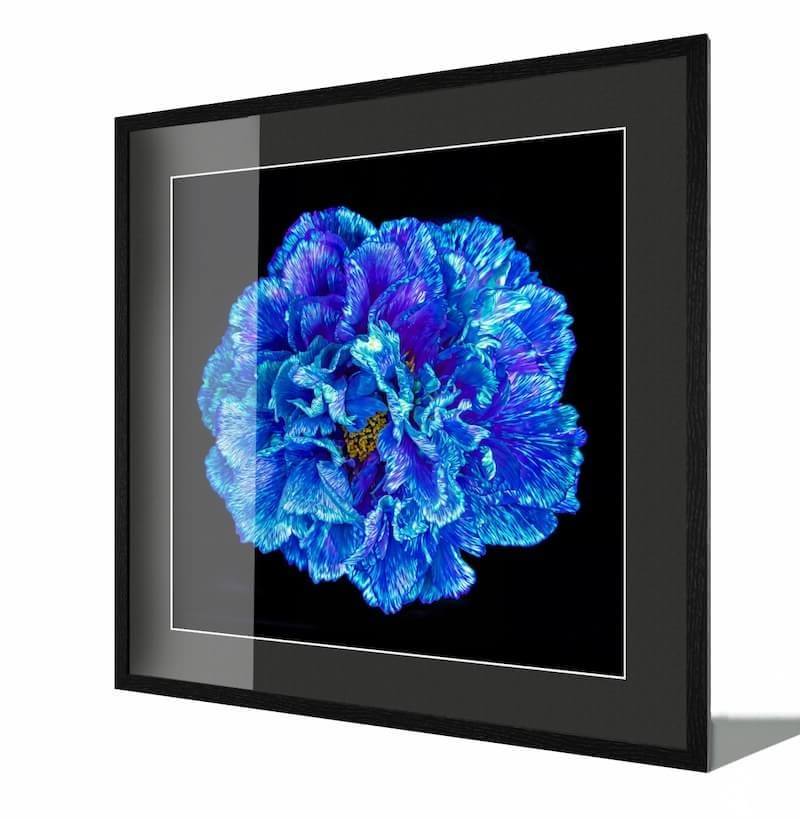 Capture_d_ecran_2025-10-22_a_09