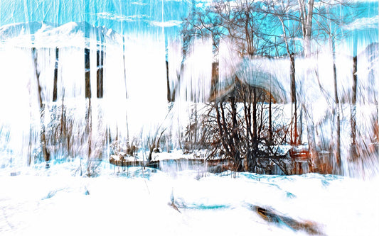 The Forest That Sings of Snow