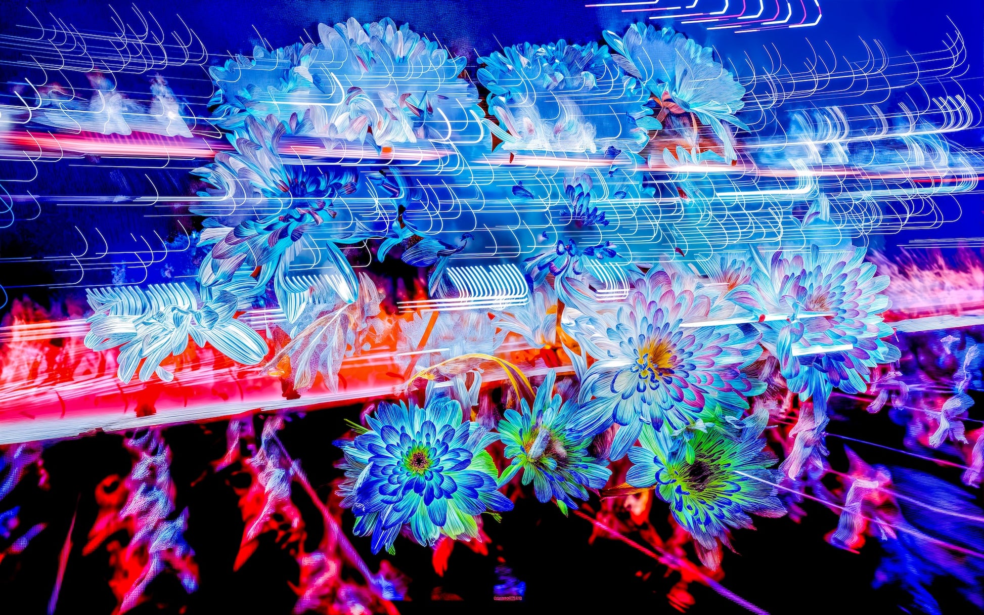 Main image Éclosions dans les courants de matière douce