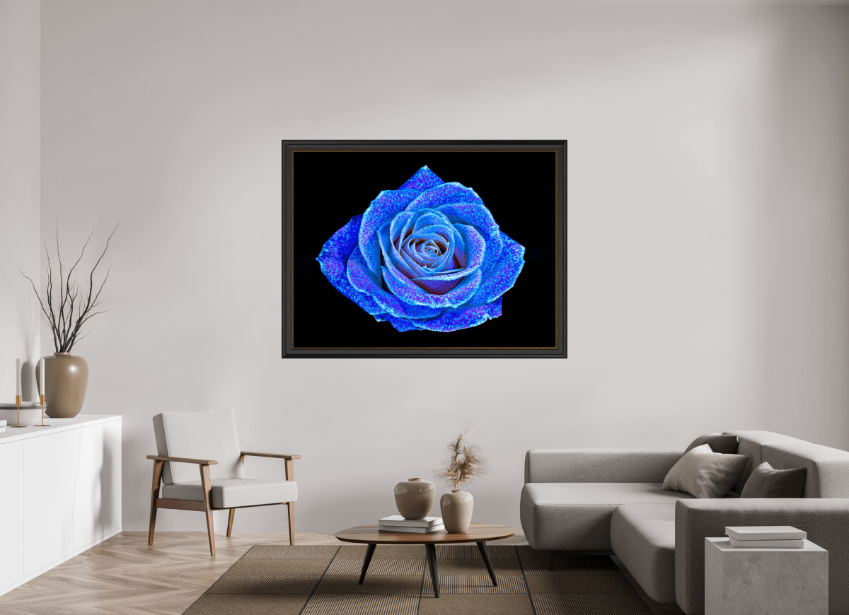La Rose aux mille constellations - Idealart