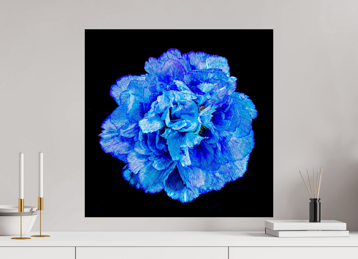 Matrice de Lumière - Idealart