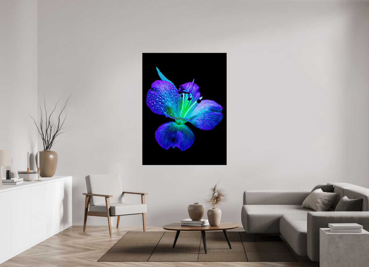 L’éclat des ailes dans la rosée - Idealart