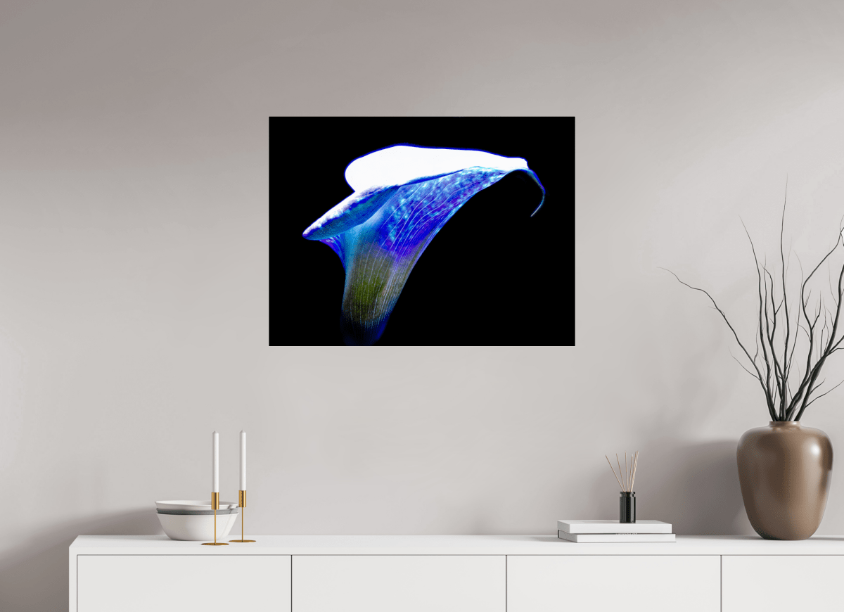 L’Aile de Lumière La Voix des Éthers - Idealart