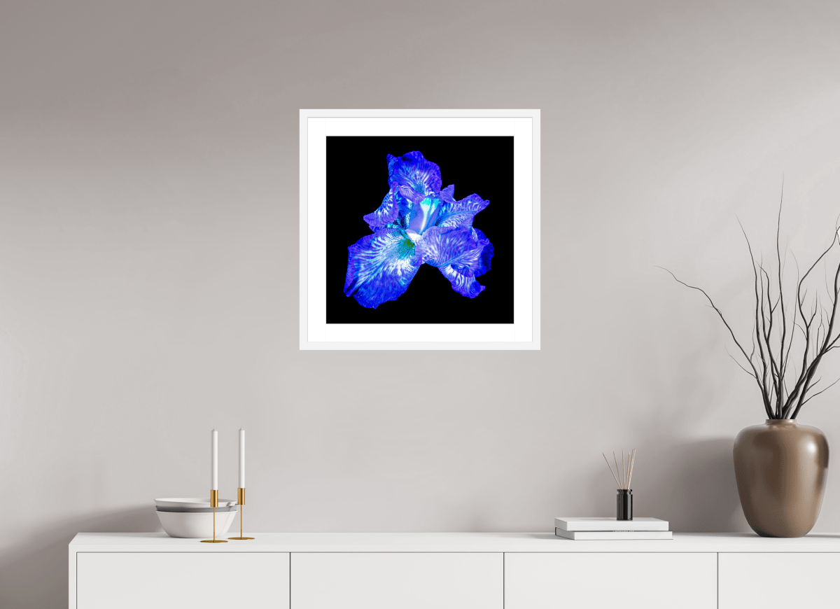 L’Opale des Ombres - Idealart