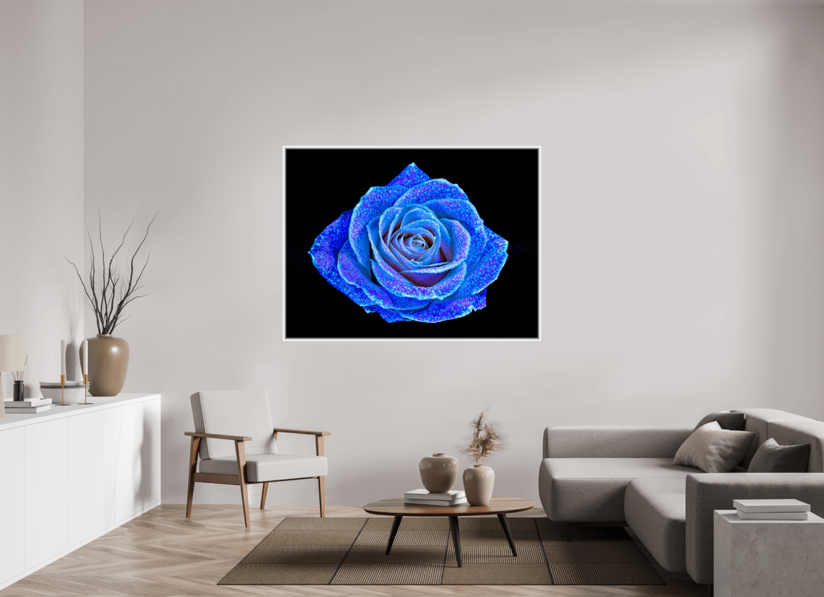 La Rose aux mille constellations - Idealart