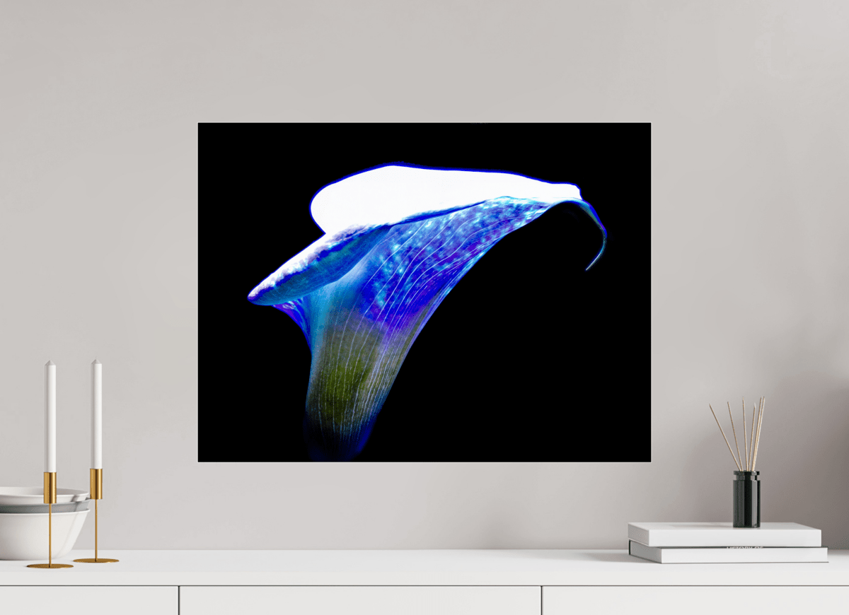 L’Aile de Lumière La Voix des Éthers - Idealart