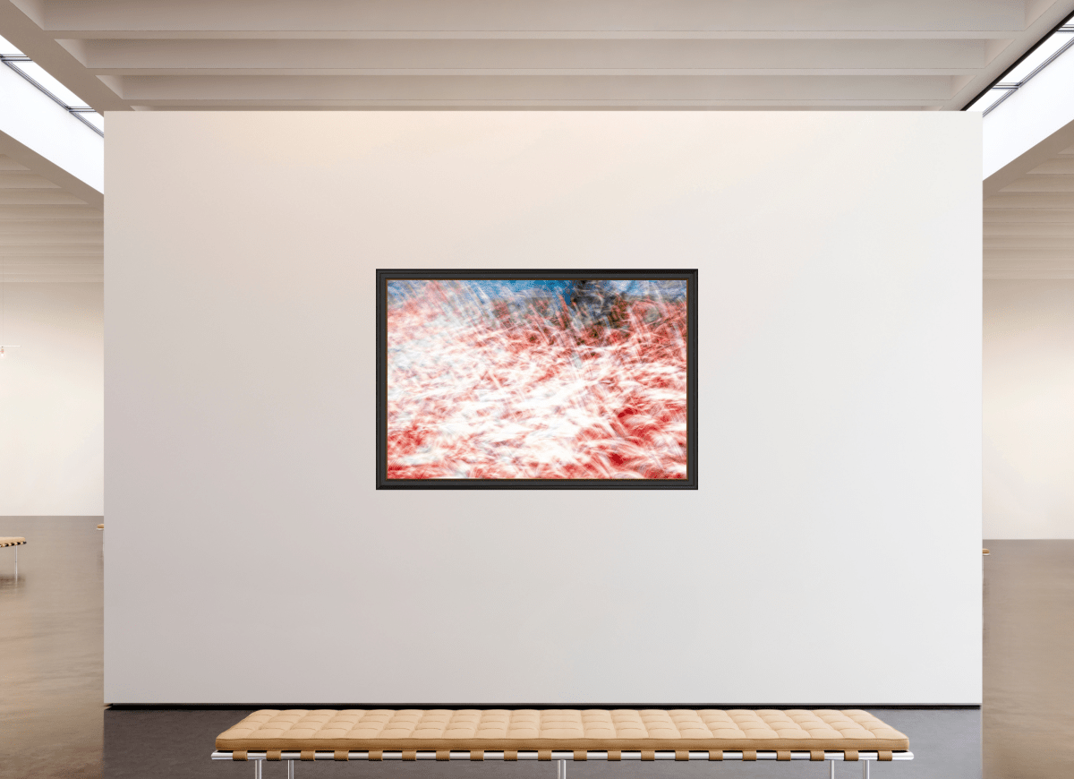 La mer des plumes rouges - Idealart