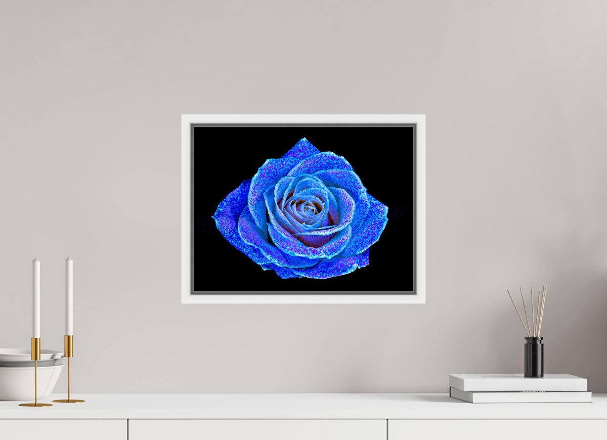 La Rose aux mille constellations - Idealart