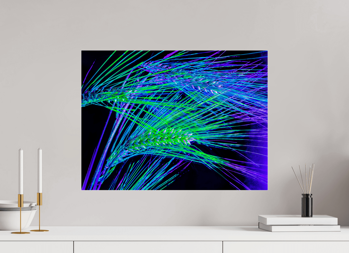 Les Lignes où Court la Lumière - Idealart