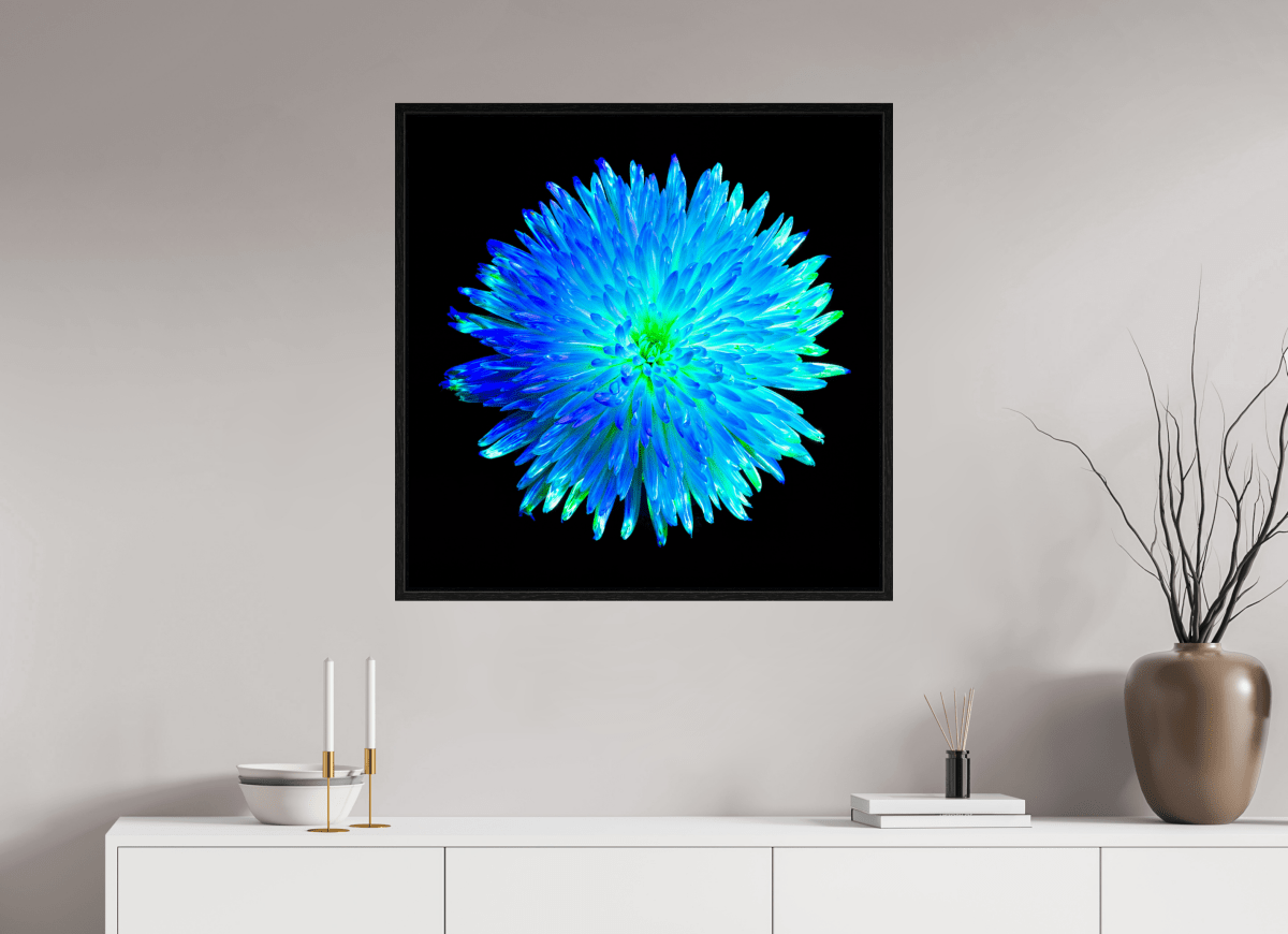 L’Astre Bleu - Idealart