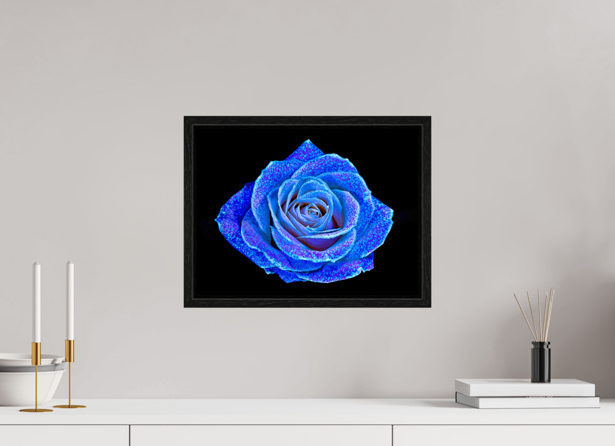 La Rose aux mille constellations - Idealart