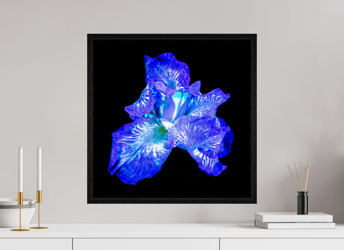 L’Opale des Ombres - Idealart