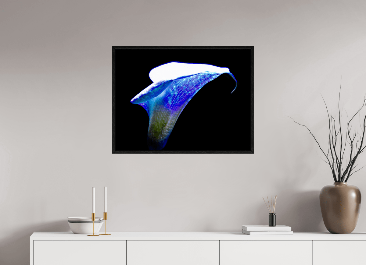 L’Aile de Lumière La Voix des Éthers - Idealart