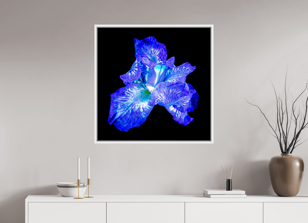 L’Opale des Ombres - Idealart