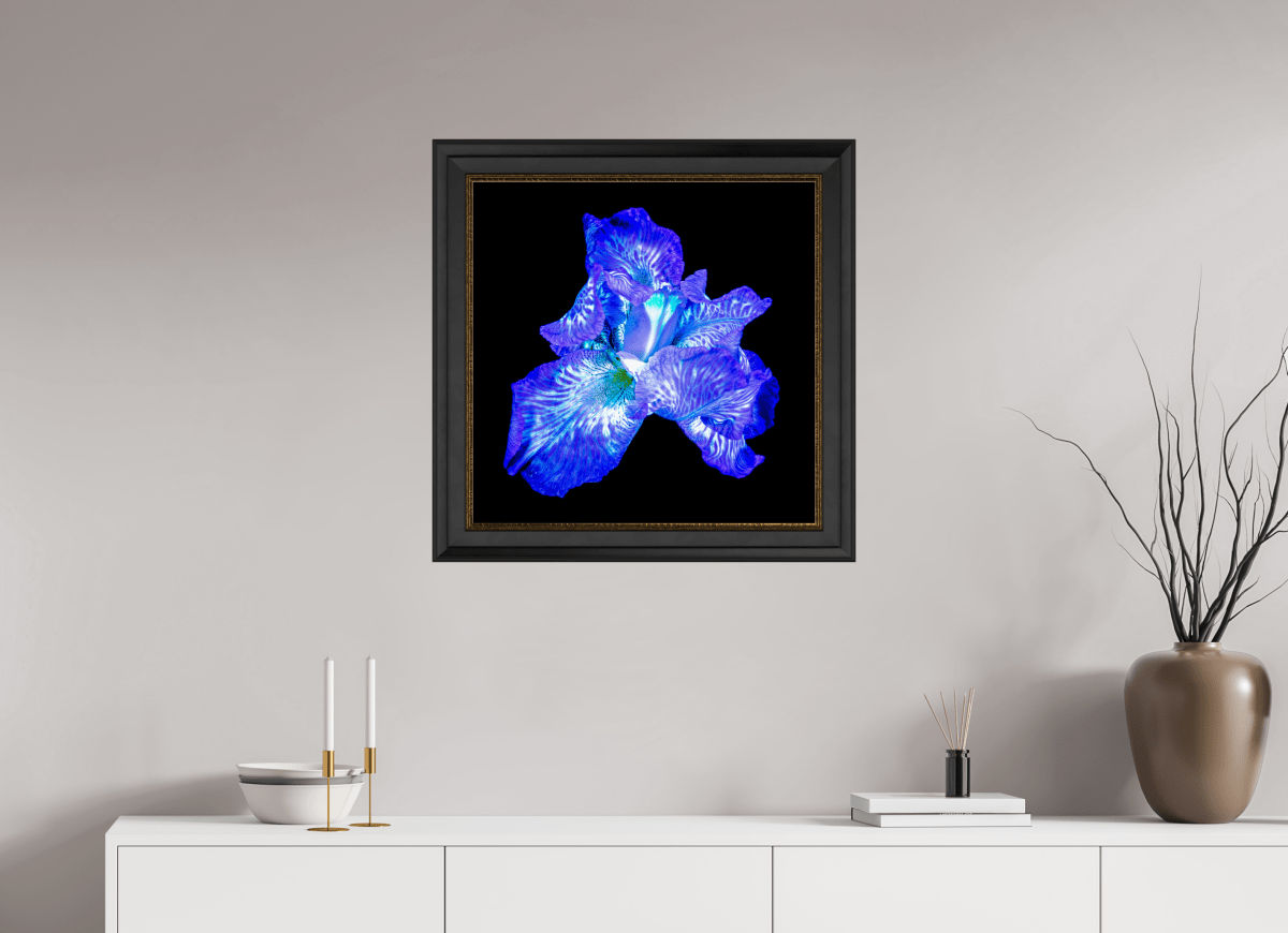 L’Opale des Ombres - Idealart