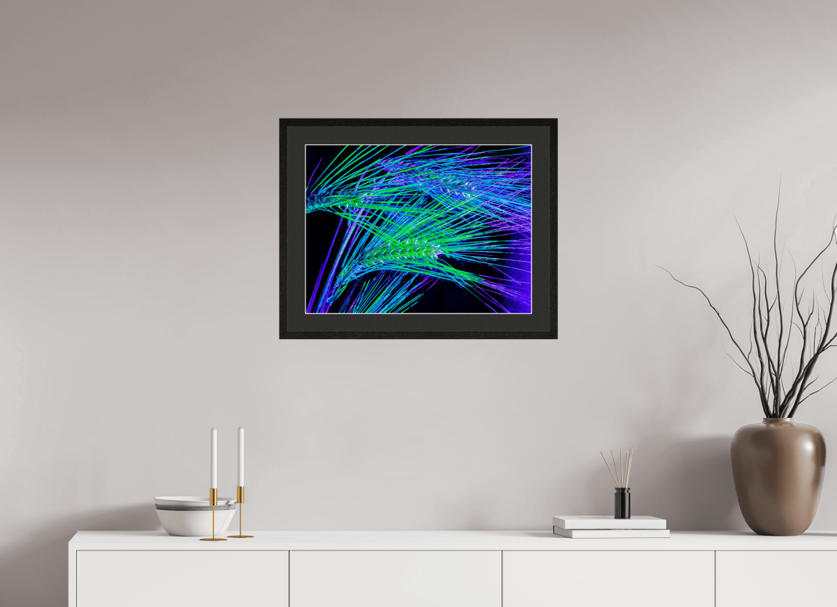 Les Lignes où Court la Lumière - Idealart