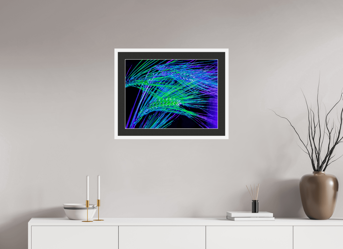 Les Lignes où Court la Lumière - Idealart