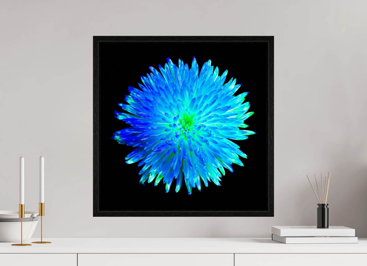 L’Astre Bleu - Idealart