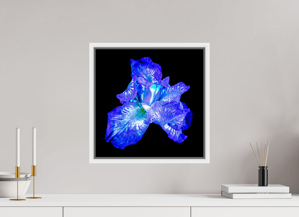 L’Opale des Ombres - Idealart