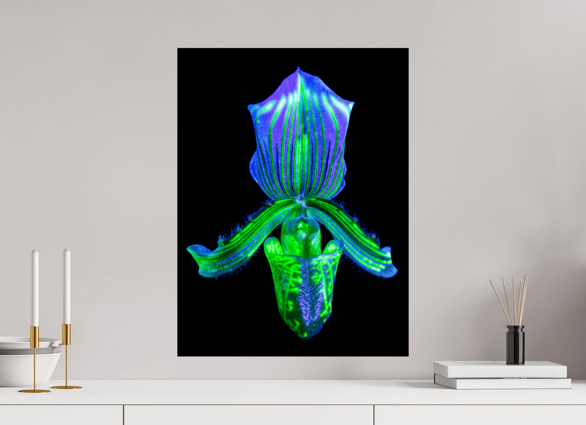 L’Éclat Secret du Désir - Idealart