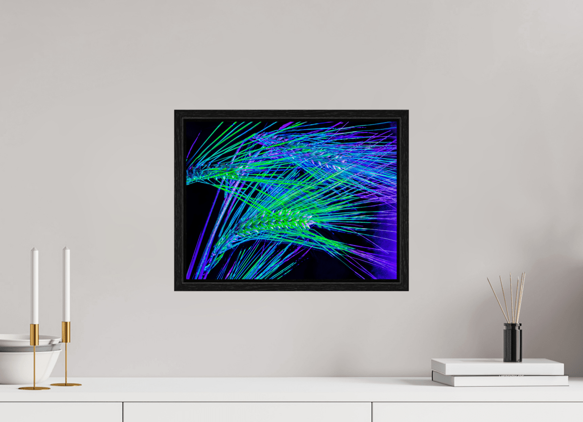 Les Lignes où Court la Lumière - Idealart