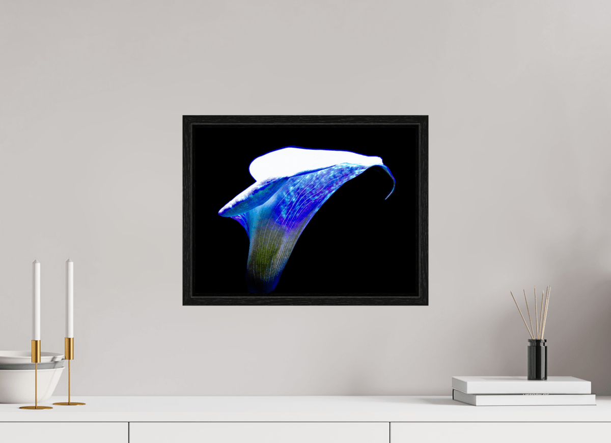 L’Aile de Lumière La Voix des Éthers - Idealart