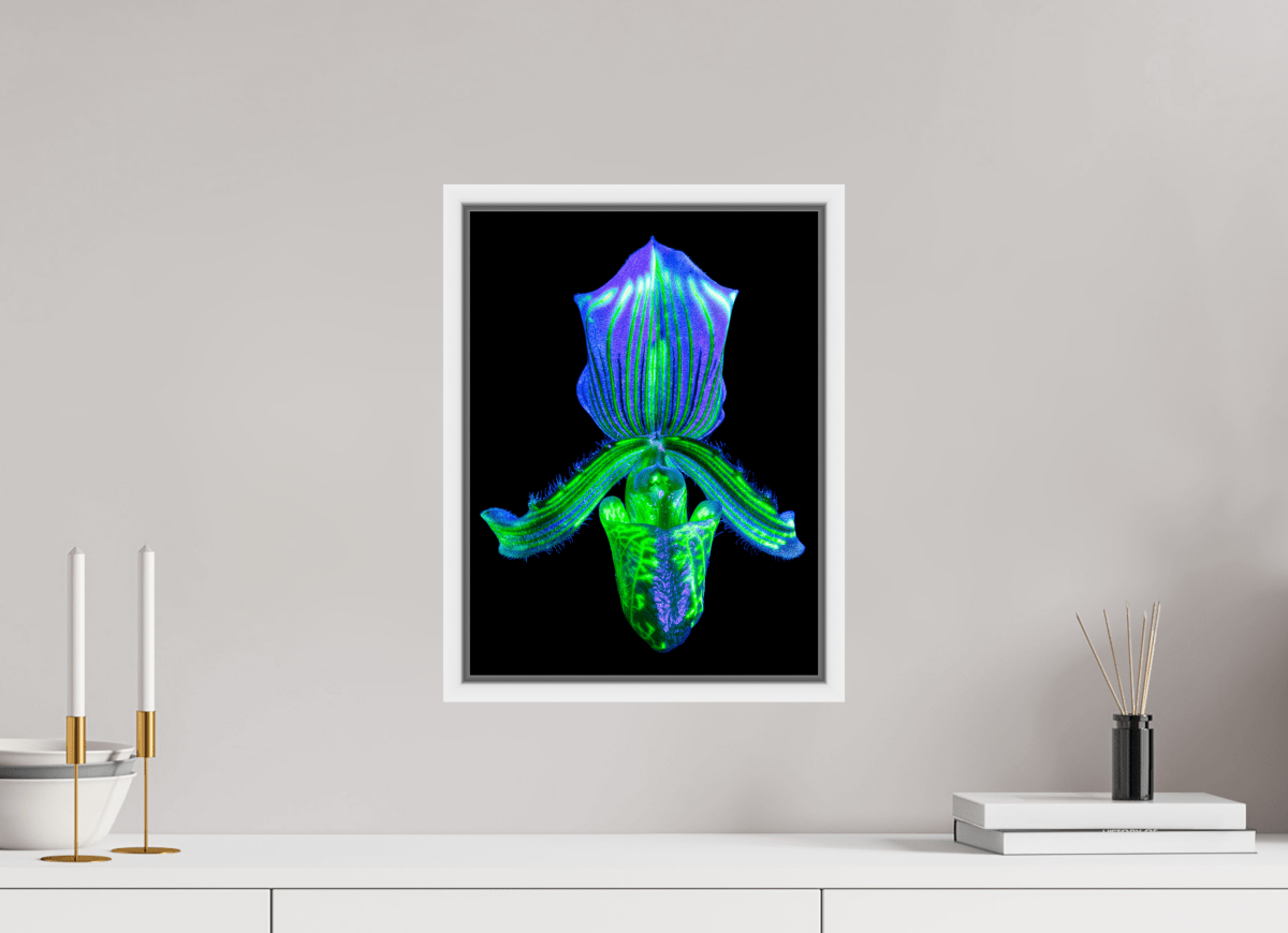 L’Éclat Secret du Désir - Idealart