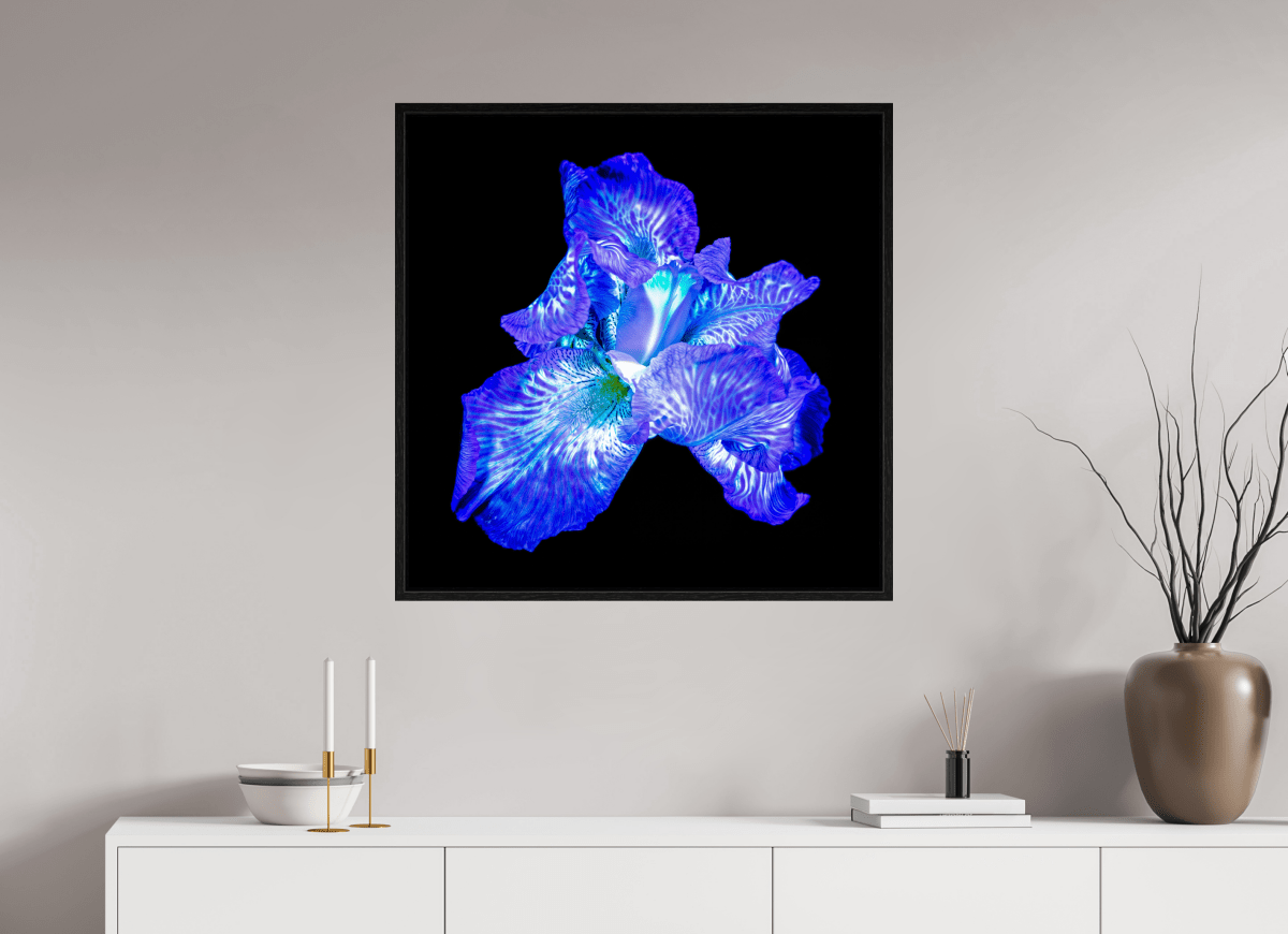 L’Opale des Ombres - Idealart