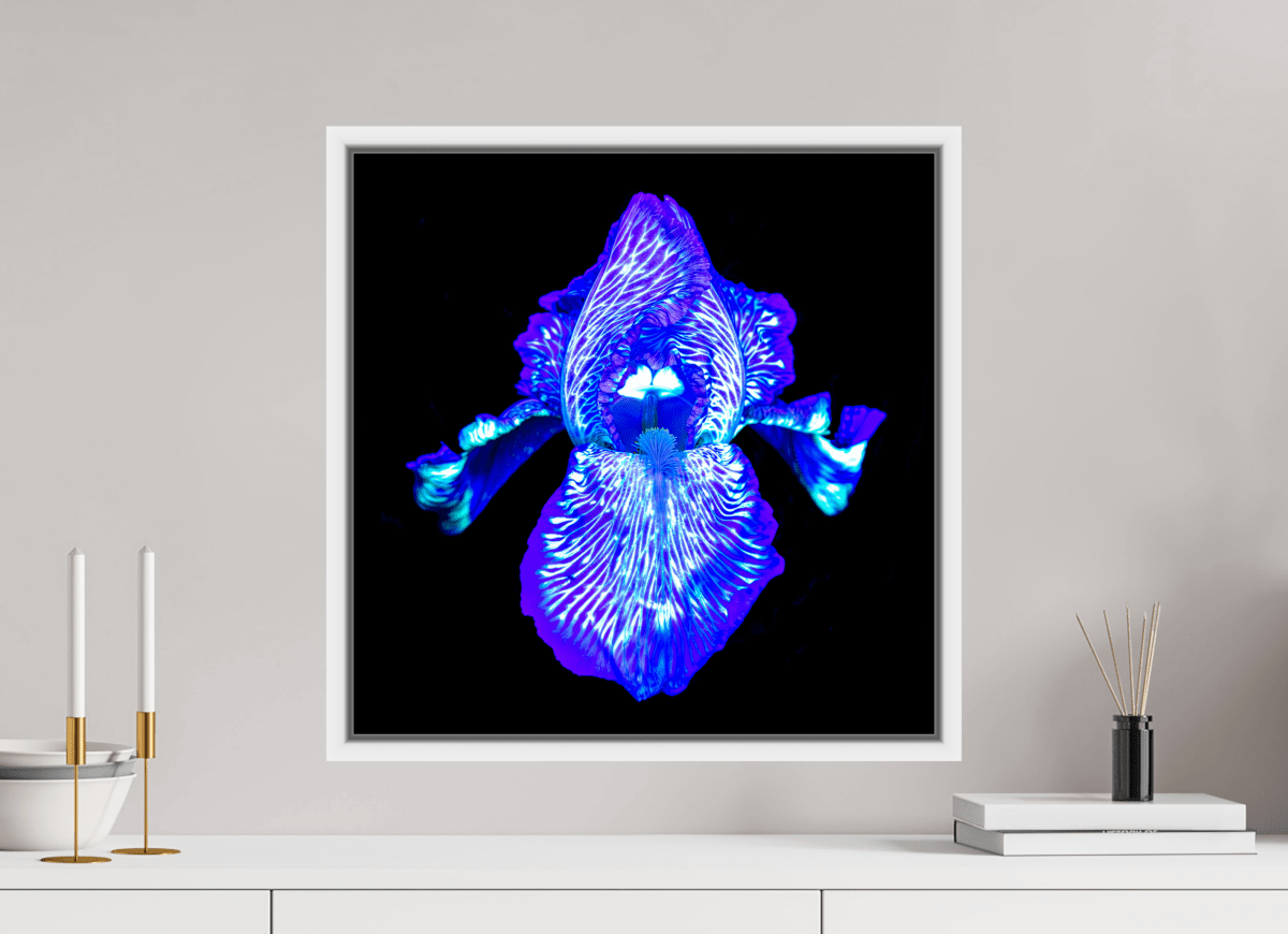 Iris des Profondeurs Lumineuses - Idealart