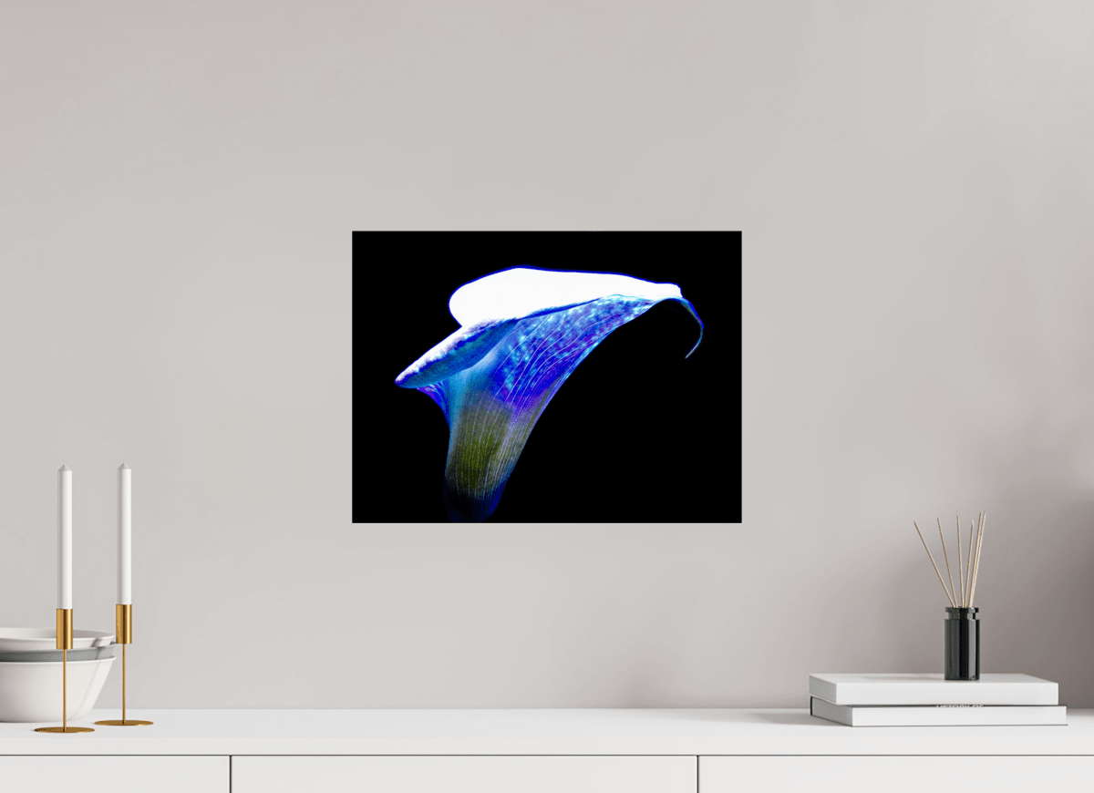 L’Aile de Lumière La Voix des Éthers - Idealart