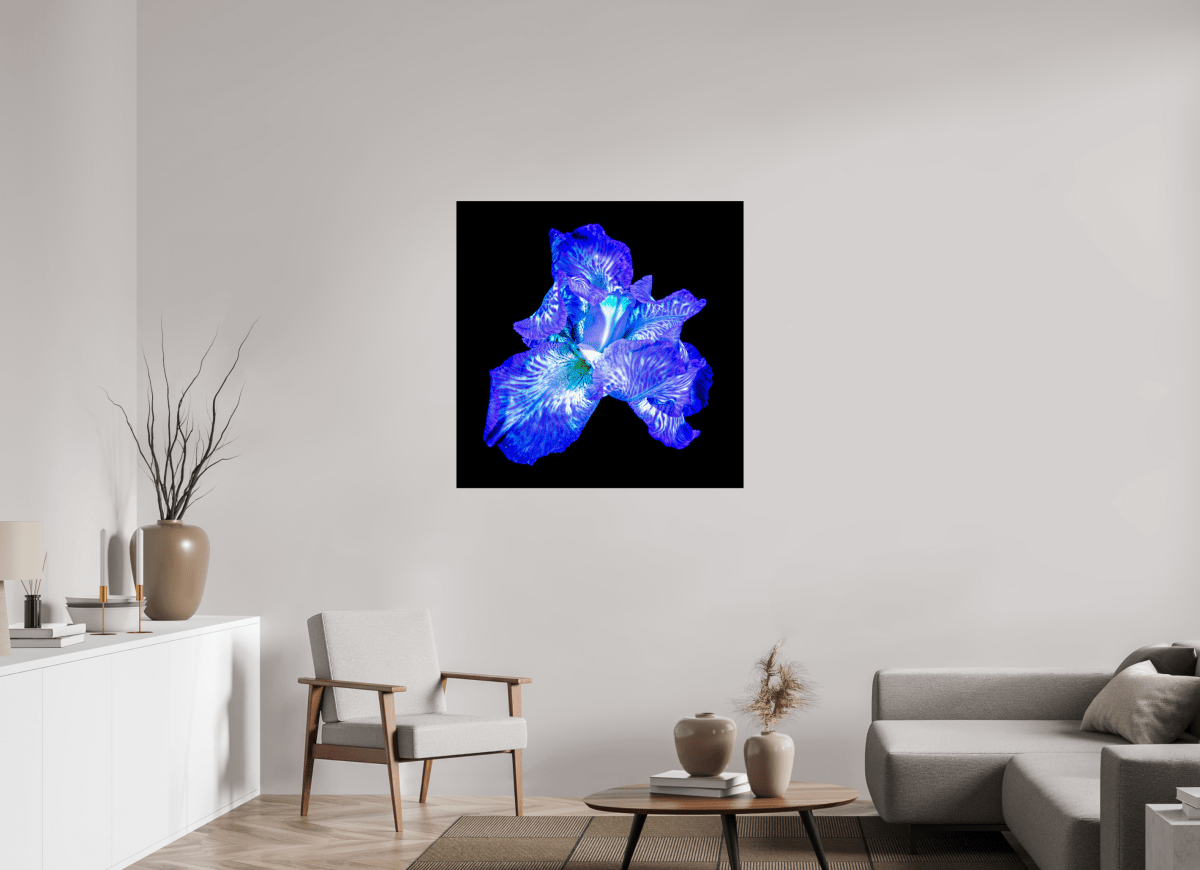 L’Opale des Ombres - Idealart