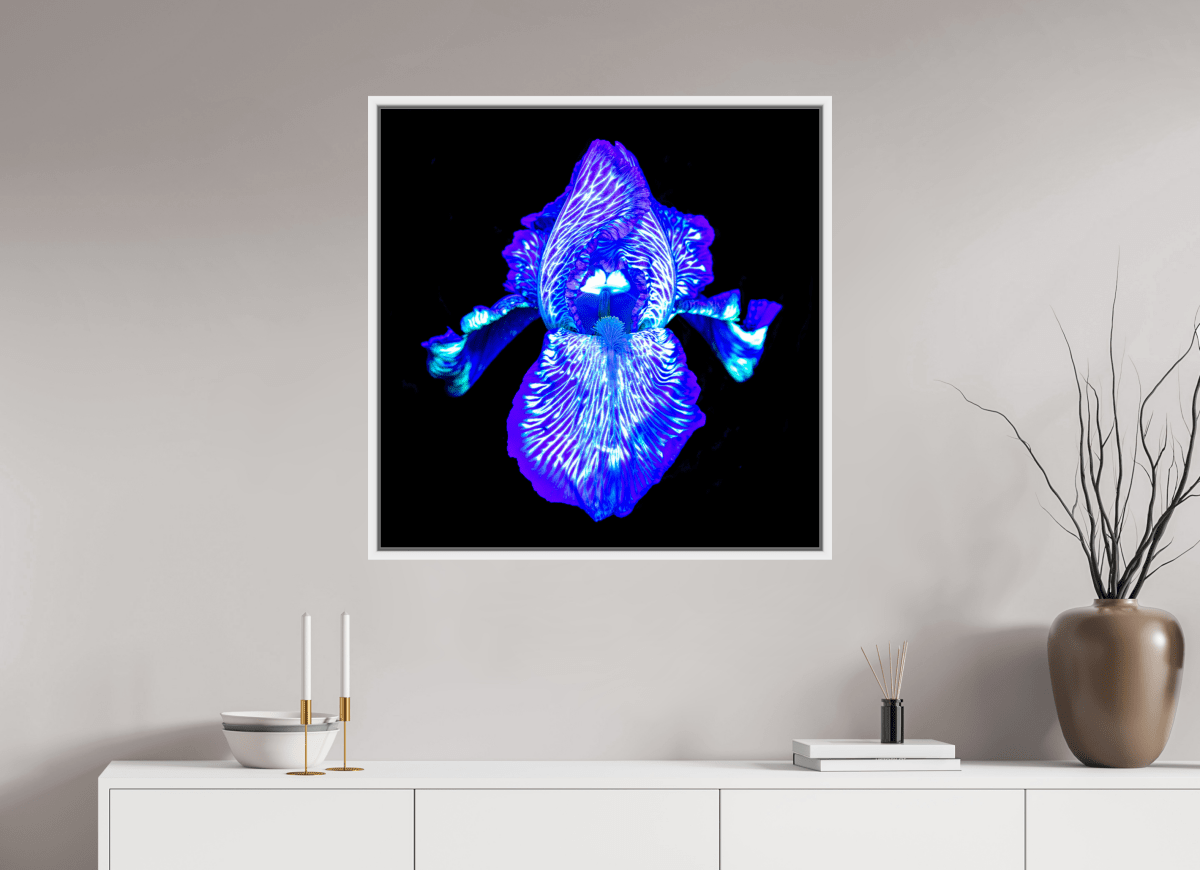Iris des Profondeurs Lumineuses - Idealart