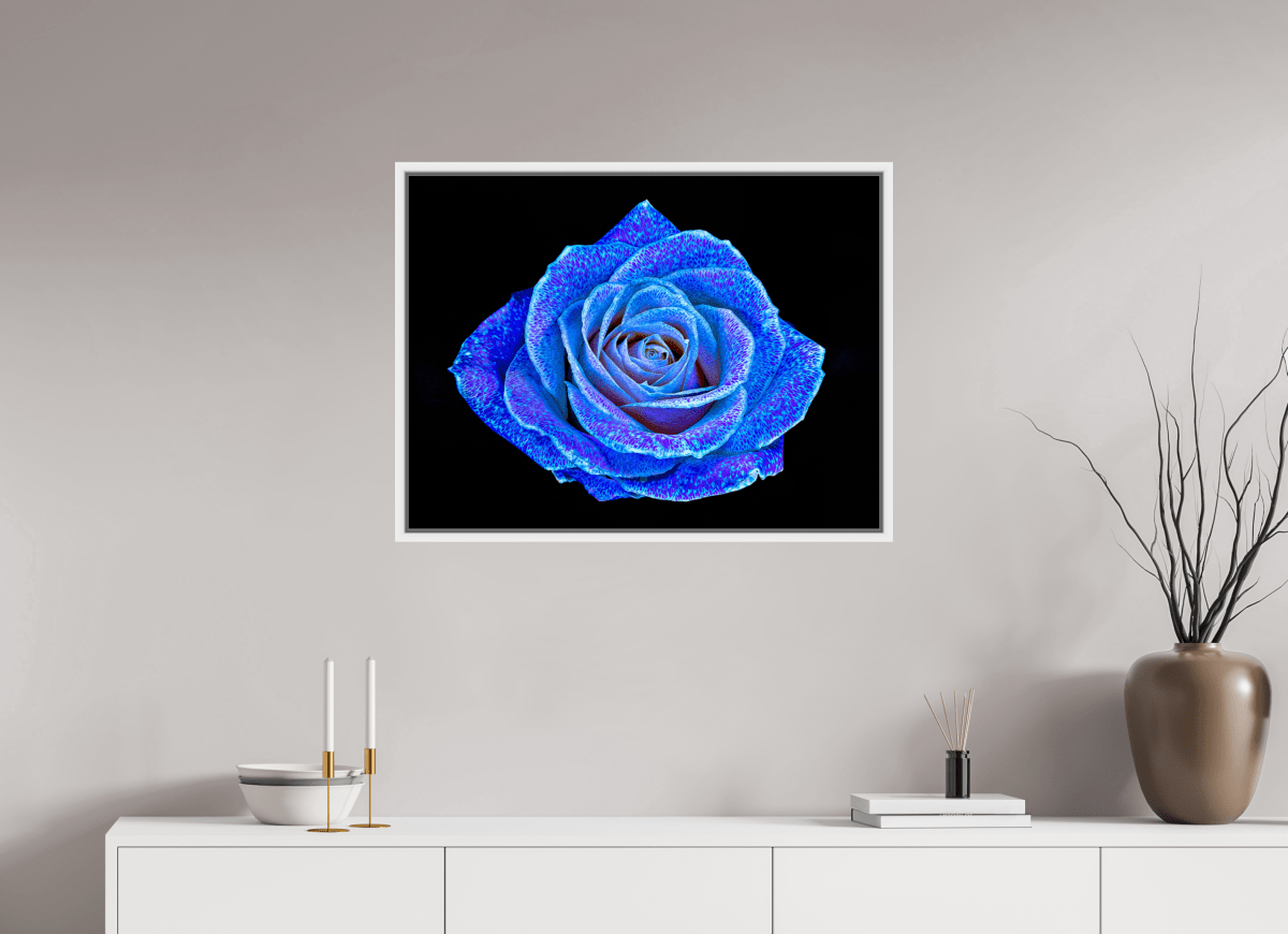 La Rose aux mille constellations - Idealart