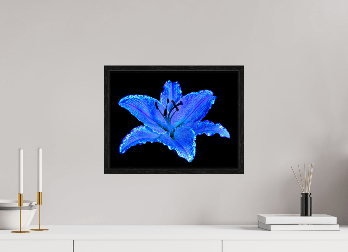 Le Lys Astral - Idealart