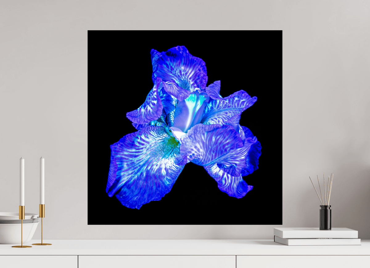 L’Opale des Ombres - Idealart