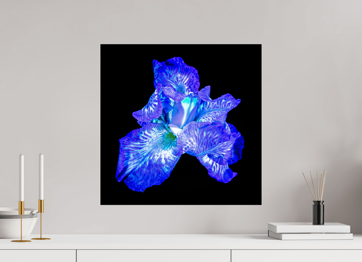 L’Opale des Ombres - Idealart