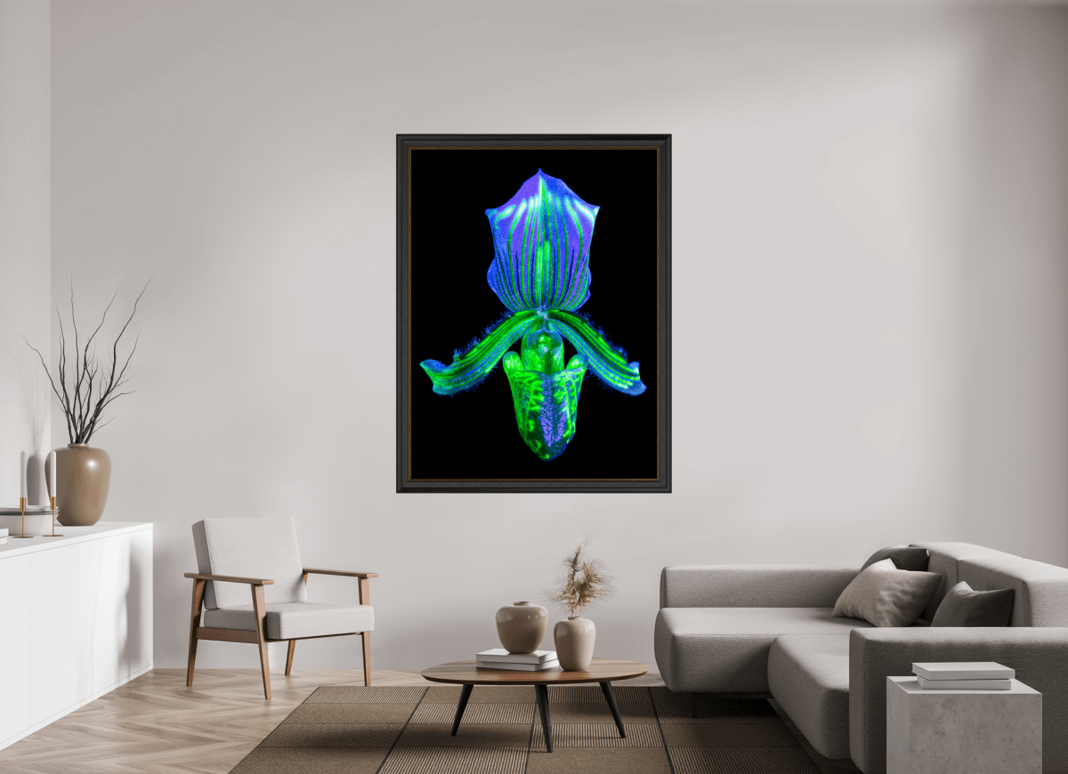 L’Éclat Secret du Désir - Idealart