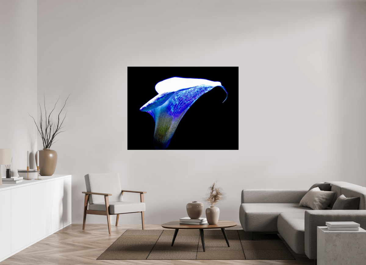 L’Aile de Lumière La Voix des Éthers - Idealart