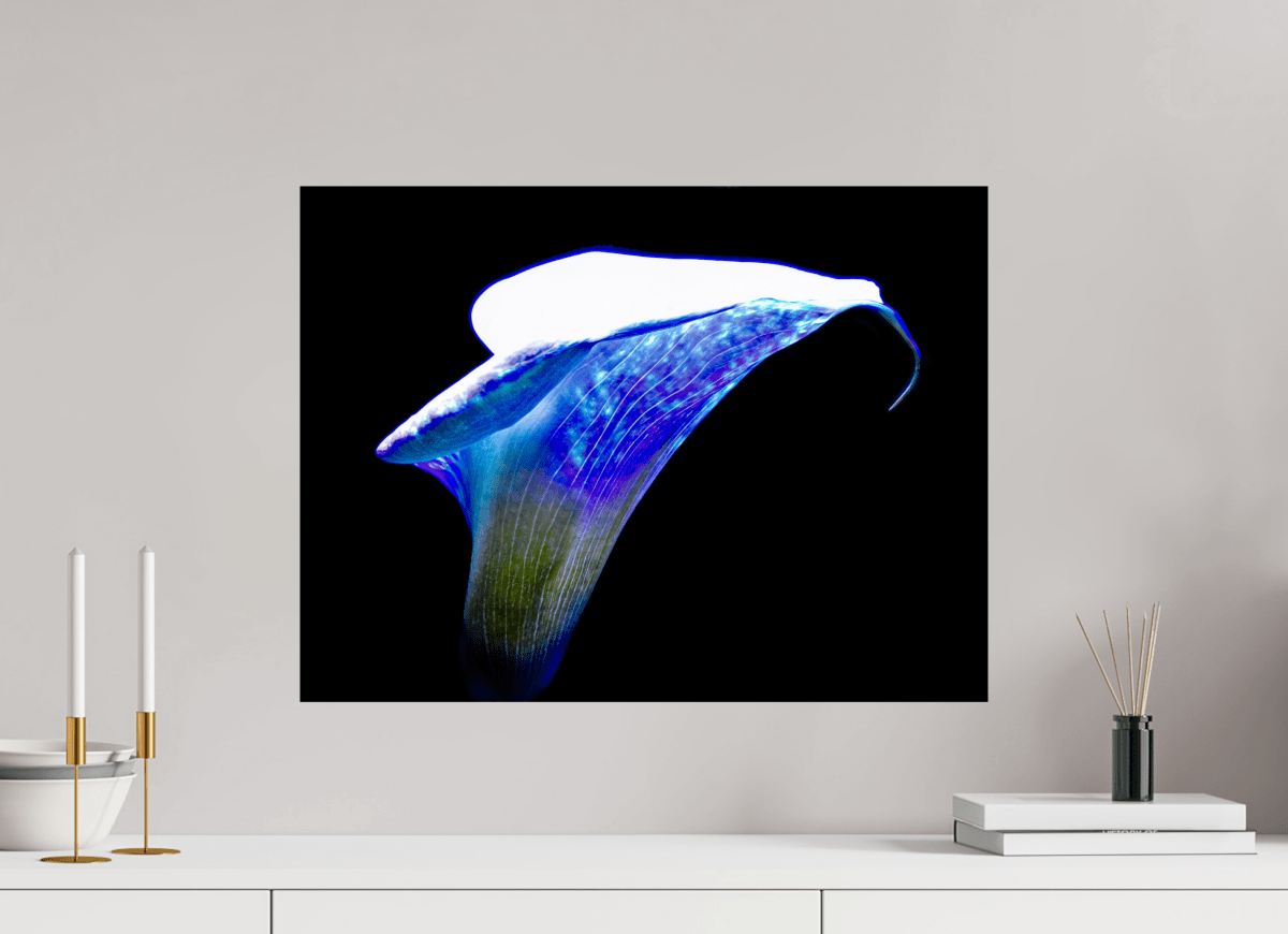 L’Aile de Lumière La Voix des Éthers - Idealart