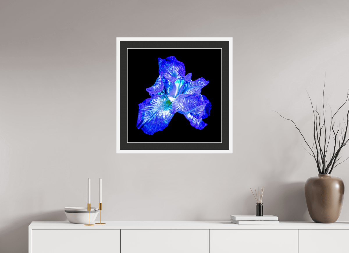 L’Opale des Ombres - Idealart