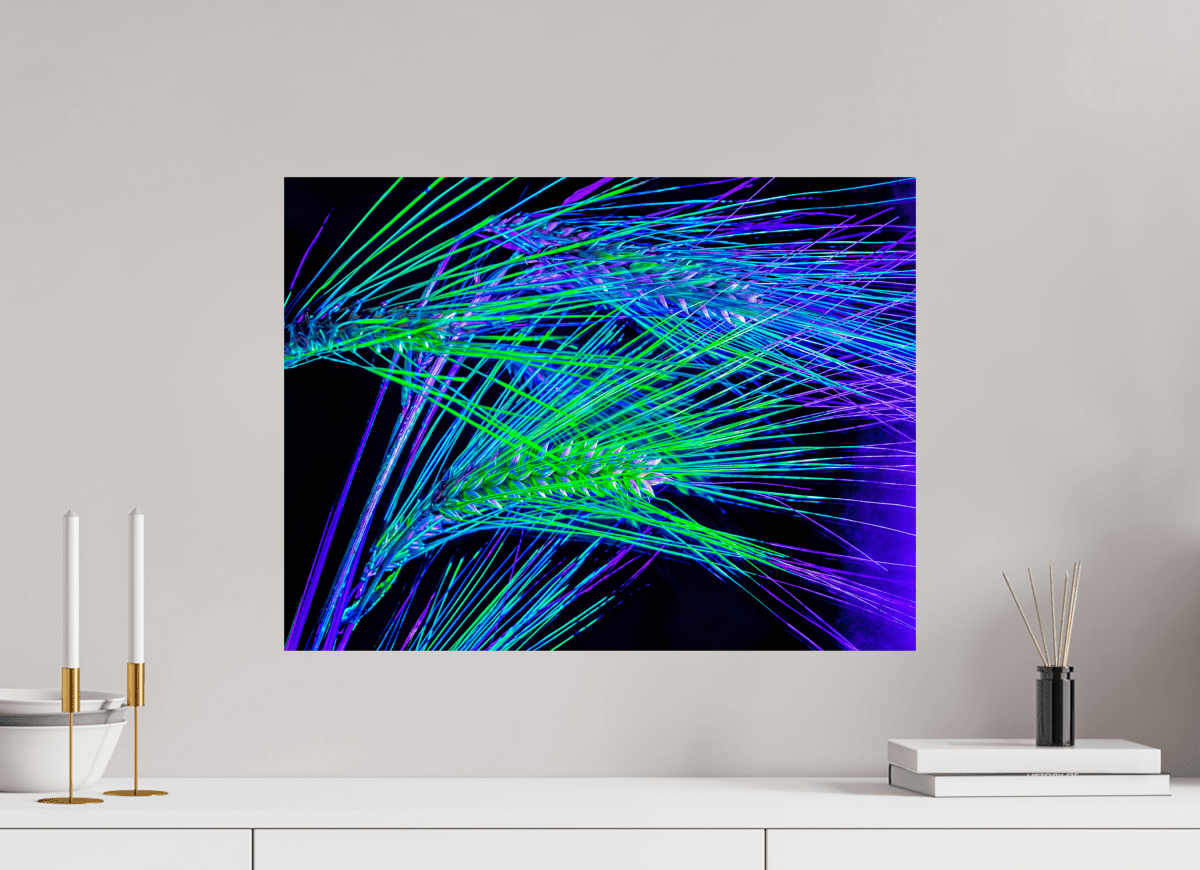 Les Lignes où Court la Lumière - Idealart