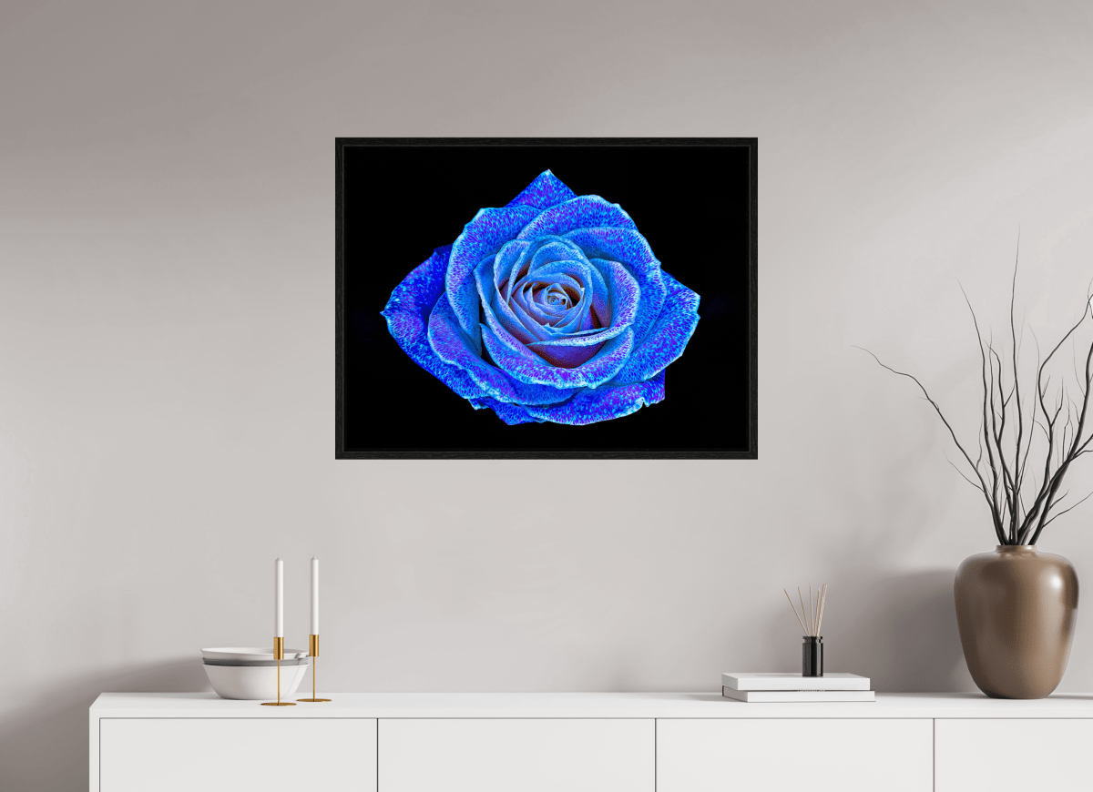 La Rose aux mille constellations - Idealart