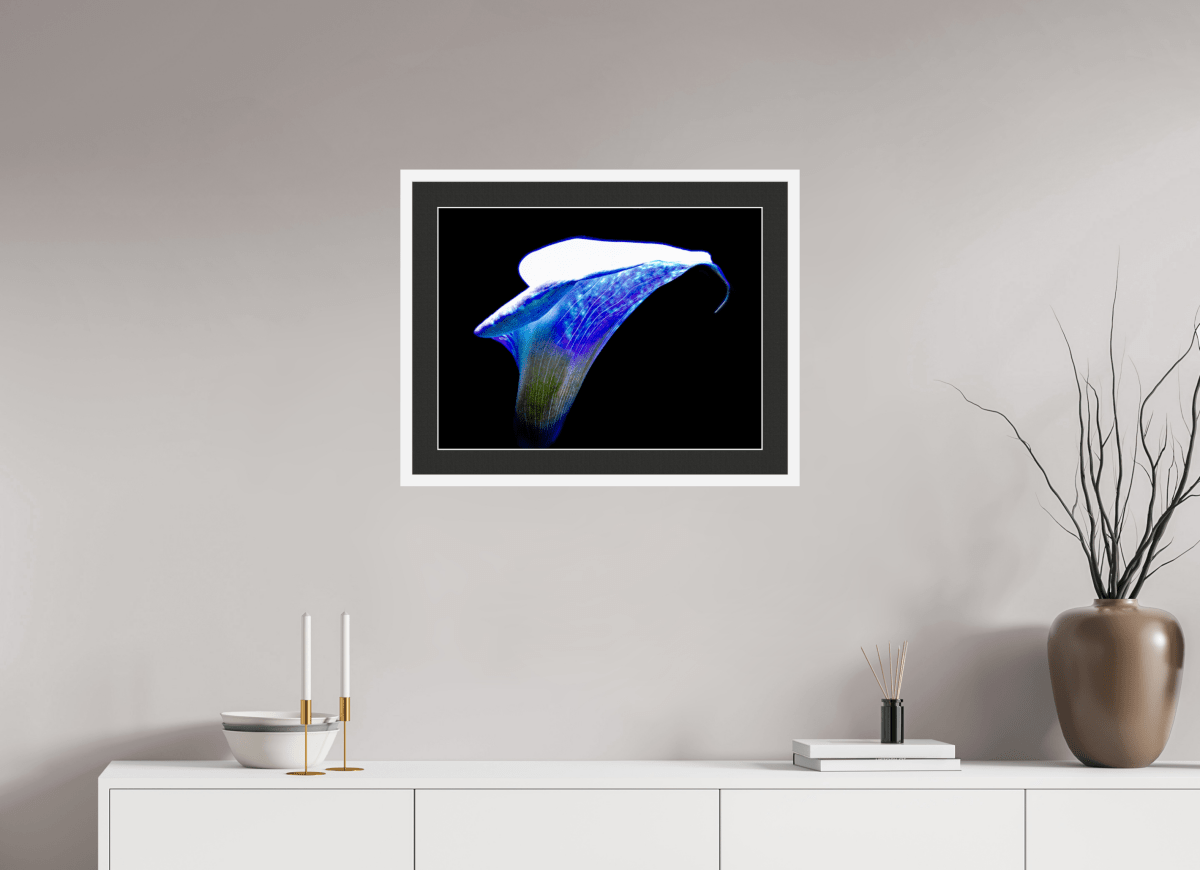 L’Aile de Lumière La Voix des Éthers - Idealart