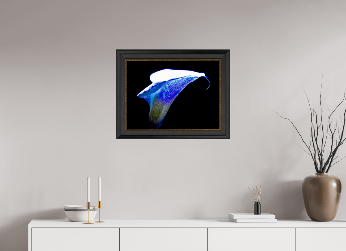 L’Aile de Lumière La Voix des Éthers - Idealart