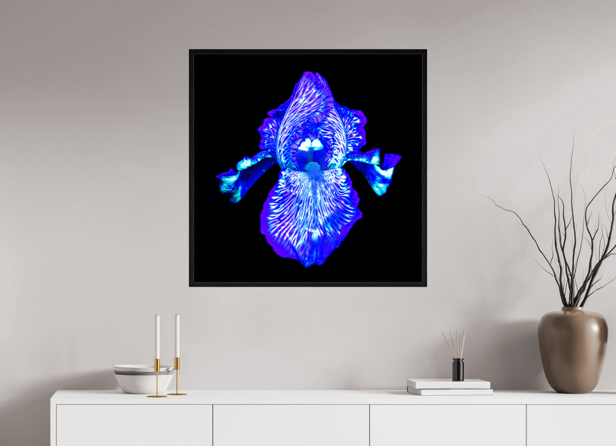 Iris des Profondeurs Lumineuses - Idealart