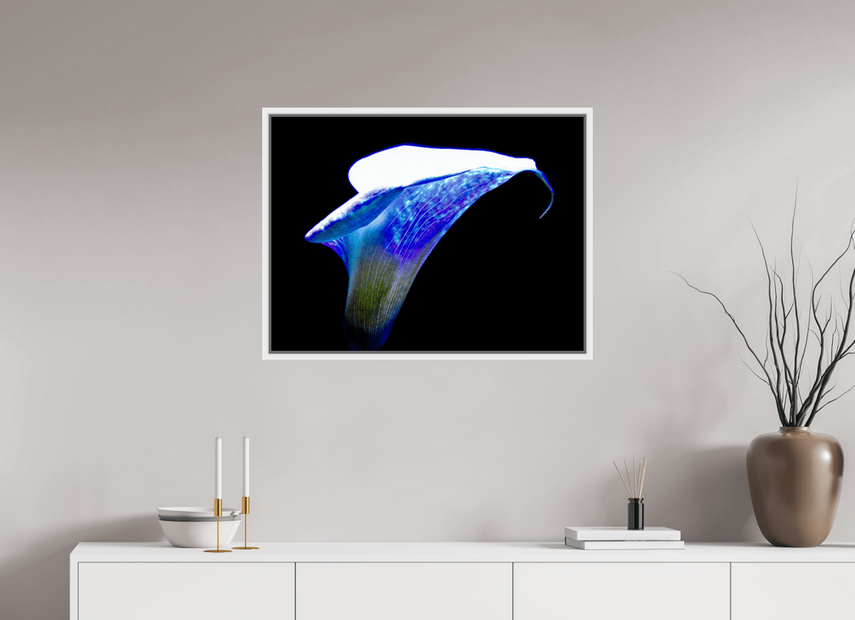 L’Aile de Lumière La Voix des Éthers - Idealart